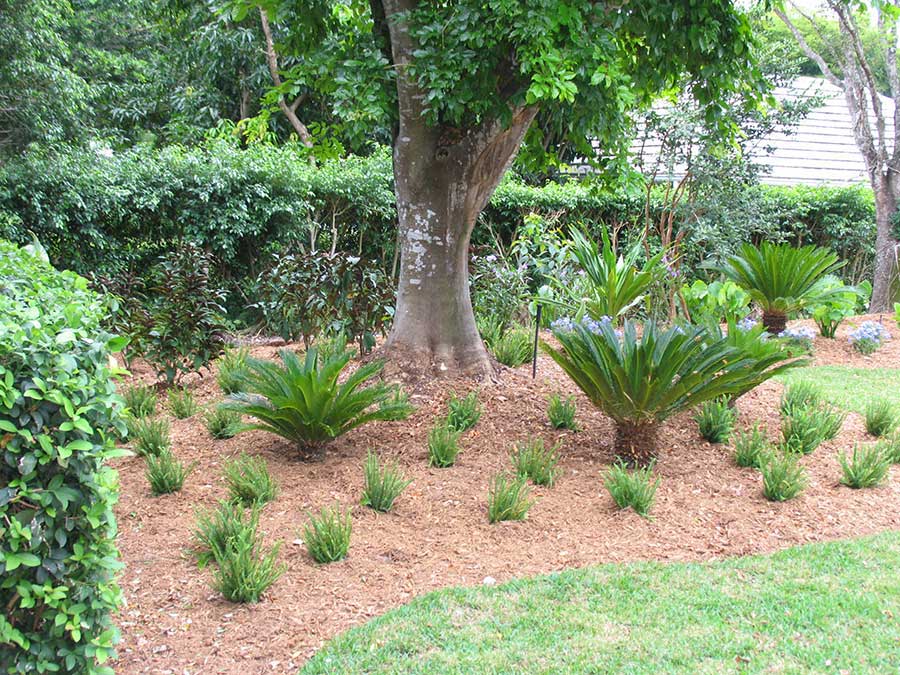 Port Royal Landscape Design Photos 4