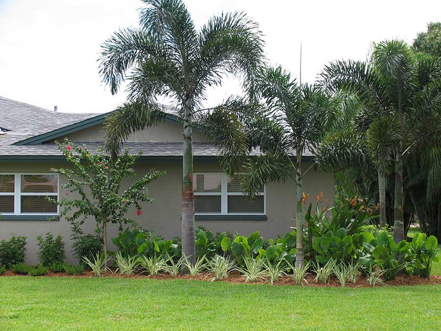 Residential Home Landscape Design 4