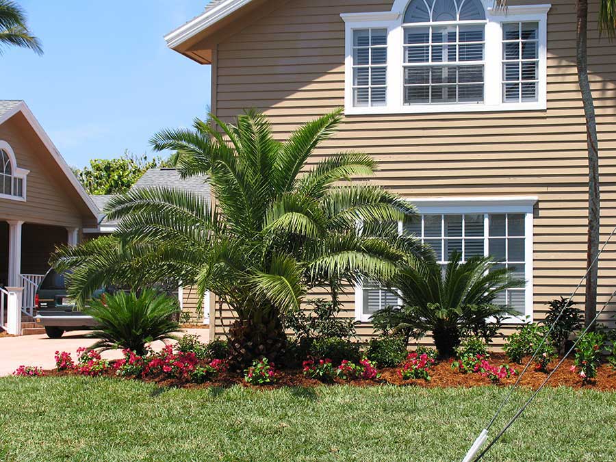 Naples Beach Landscape Design 2