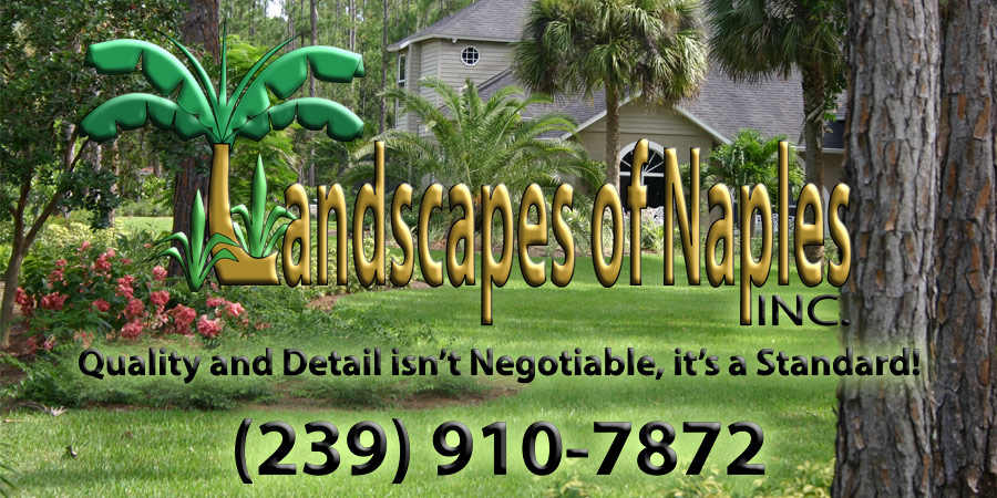 Landscape Company in Naples Picture